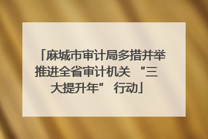 麻城市审计局多措并举推进全省审计机关 “三大提升年” 行动