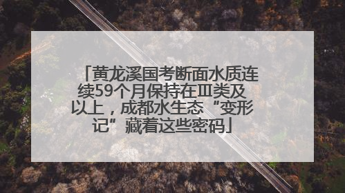 黄龙溪国考断面水质连续59个月保持在Ⅲ类及以上，成都水生态“变形记”藏着这些密码