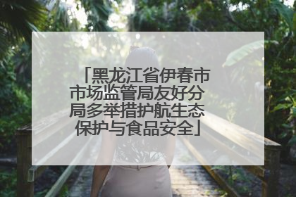 黑龙江省伊春市市场监管局友好分局多举措护航生态保护与食品安全