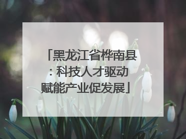 黑龙江省桦南县：科技人才驱动 赋能产业促发展