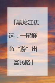 黑龙江抚远：一尾鲜鱼“游”出富民路