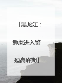 黑龙江：狮虎进入繁殖高峰期