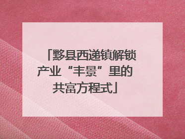 黟县西递镇解锁产业“丰景”里的共富方程式