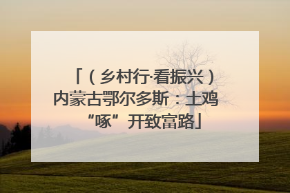 （乡村行·看振兴）内蒙古鄂尔多斯：土鸡“啄”开致富路