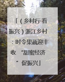 （乡村行·看振兴）浙江乡村：时令果蔬迎丰收 “甜蜜经济”促振兴