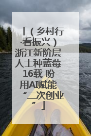 （乡村行·看振兴）浙江新阶层人士种蓝莓16载 盼用AI赋能“二次创业”