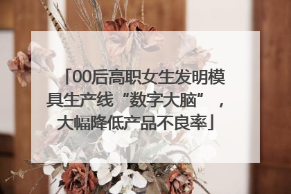 00后高职女生发明模具生产线“数字大脑”，大幅降低产品不良率