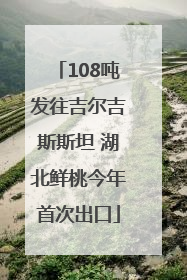 108吨发往吉尔吉斯斯坦 湖北鲜桃今年首次出口