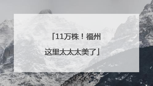 11万株！福州这里太太太美了
