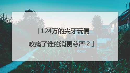 124万的尖牙玩偶 咬痛了谁的消费尊严？