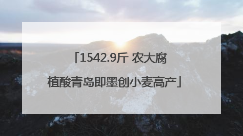 1542.9斤 农大腐植酸青岛即墨创小麦高产