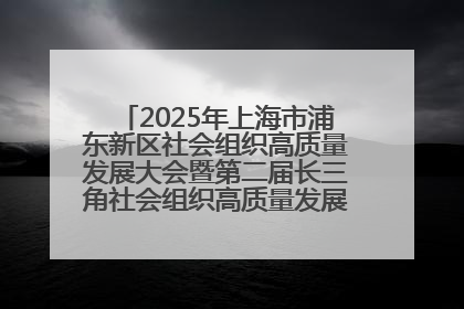 2025年上海市浦东新区社会组织高质量发展大会暨第二届长三角社会组织高质量发展峰会成功举办
