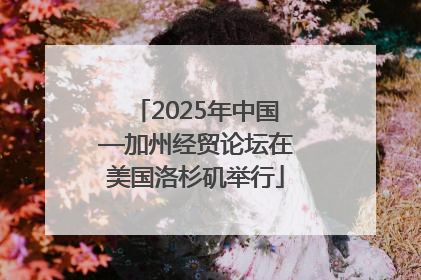 2025年中国—加州经贸论坛在美国洛杉矶举行