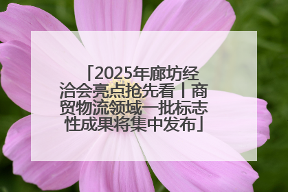 2025年廊坊经洽会亮点抢先看丨商贸物流领域一批标志性成果将集中发布