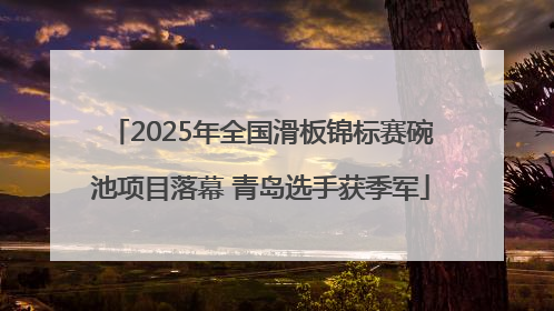 2025年全国滑板锦标赛碗池项目落幕 青岛选手获季军