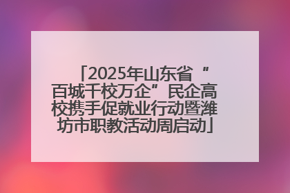 2025年山东省“百城千校万企”民企高校携手促就业行动暨潍坊市职教活动周启动