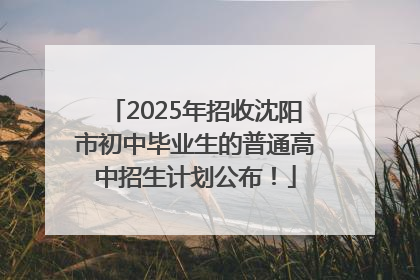 2025年招收沈阳市初中毕业生的普通高中招生计划公布！