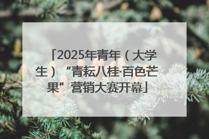 2025年青年（大学生）“青耘八桂·百色芒果”营销大赛开幕