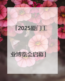 2025厦门工业博览会启幕
