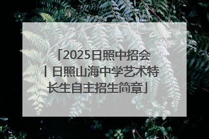 2025日照中招会丨日照山海中学艺术特长生自主招生简章