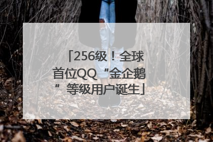 256级！全球首位QQ“金企鹅”等级用户诞生