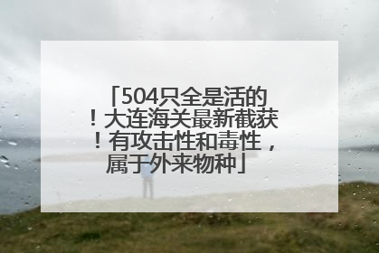 504只全是活的！大连海关最新截获！有攻击性和毒性，属于外来物种