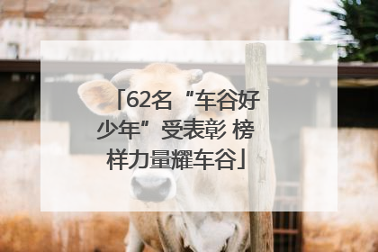 62名“车谷好少年”受表彰 榜样力量耀车谷