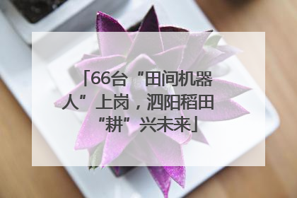 66台“田间机器人”上岗，泗阳稻田“耕”兴未来
