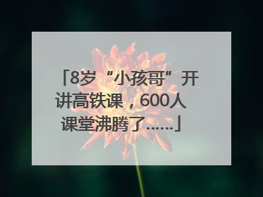 8岁“小孩哥”开讲高铁课，600人课堂沸腾了……