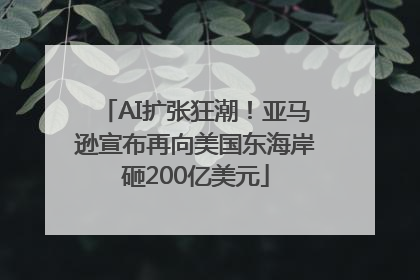 AI扩张狂潮！亚马逊宣布再向美国东海岸砸200亿美元