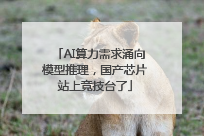 AI算力需求涌向模型推理，国产芯片站上竞技台了