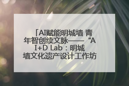 AI赋能明城墙 青年智创续文脉——“AI+D Lab：明城墙文化遗产设计工作坊”在南京开营