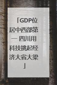 GDP位居中西部第一 四川用科技挑起经济大省大梁