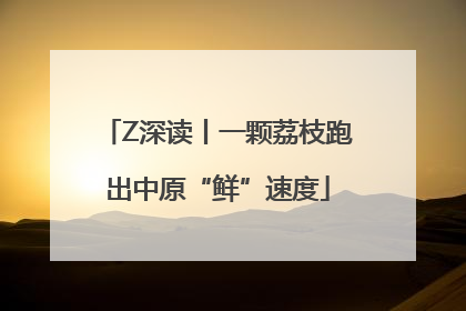 Z深读丨一颗荔枝跑出中原“鲜”速度